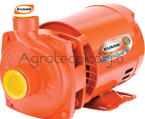 Motobomba Evans 4HME200